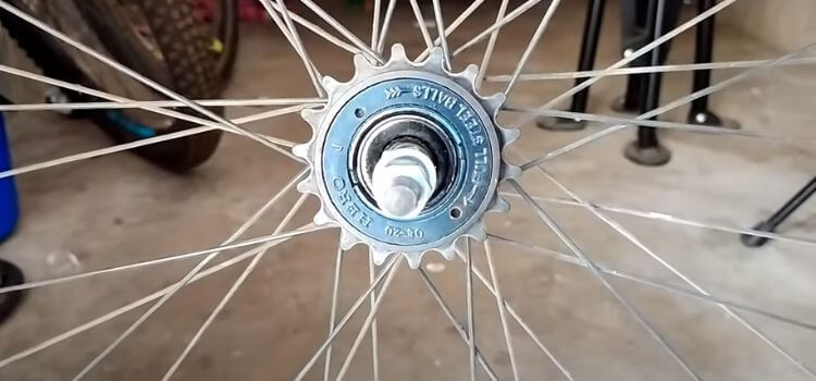 fixed wheel vs freewheel