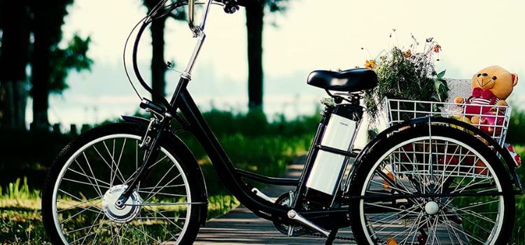 best 3 wheel electric bike