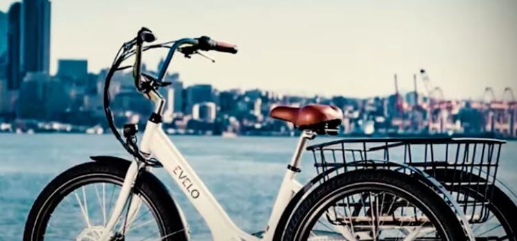 best 3 wheel electric bike