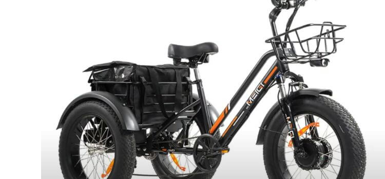 best 3 wheel electric bike