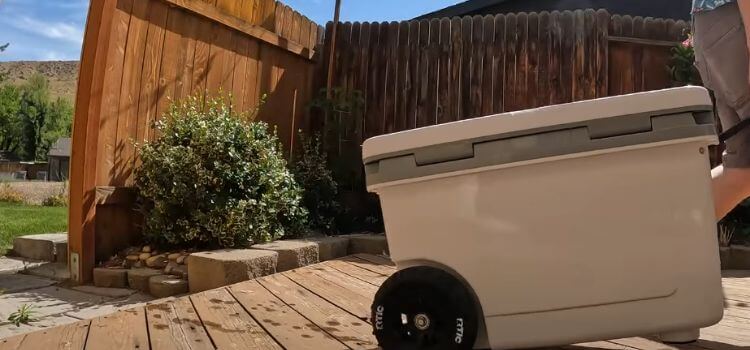 best wheeled ice chest